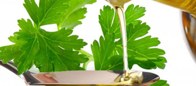 Curare le verdure: scopri i benefici dell’olio di semi di prezzemolo